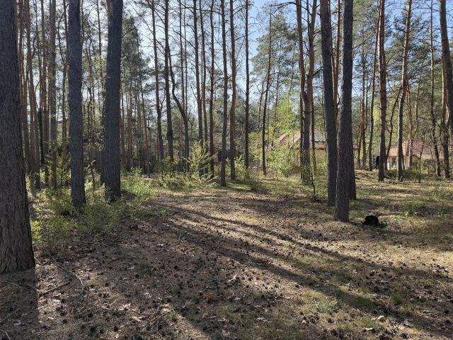 Działka budowlana Nowe Załubice, ul. Wiolinowa. Zdjęcie 5