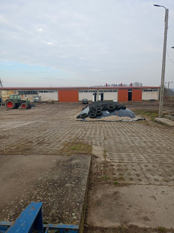 Hala/magazyn Kalinowo. Zdjęcie 7