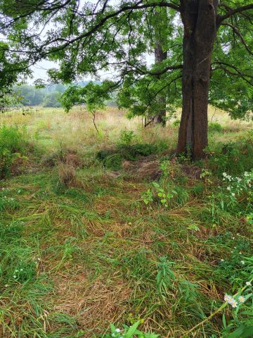 Działka rolna Sorbin Dule. Zdjęcie 1