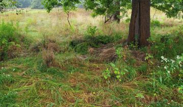 Działka rolna Sorbin Dule