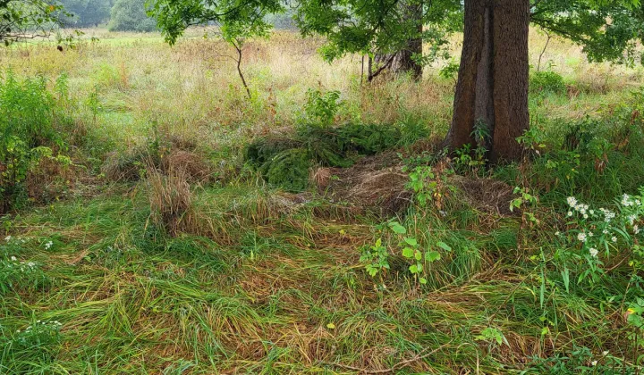 Działka rolna Sorbin Dule