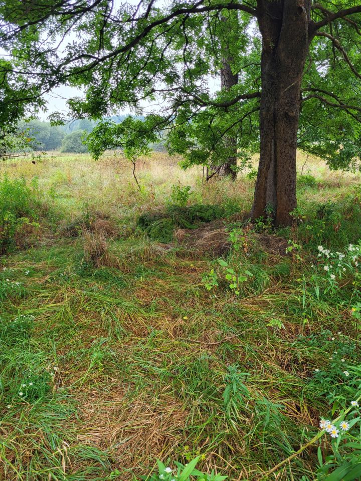 Działka rolna Sorbin Dule