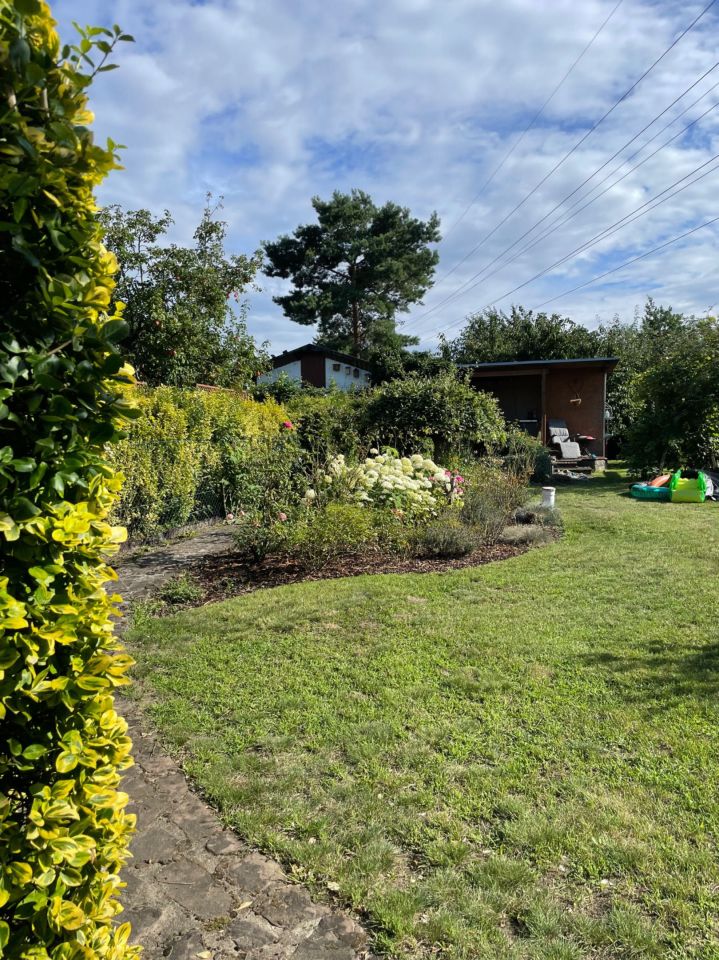 Działka rod Szczecin Śródmieście, ul. Tenisowa. Zdjęcie 5