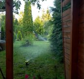 Działka rod Bydgoszcz, ul. Łochowska. Zdjęcie 1