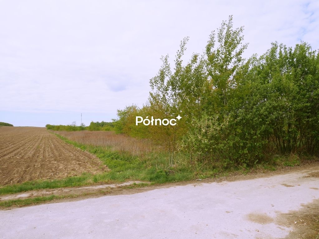 Działka rolna Przesieczany. Zdjęcie 6