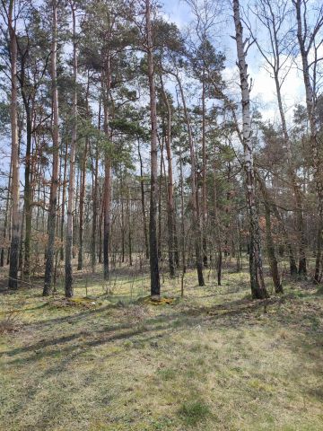 Działka budowlana Piotrków Trybunalski Szczekanica, ul. mjr. Jana Piwnika. Zdjęcie 1