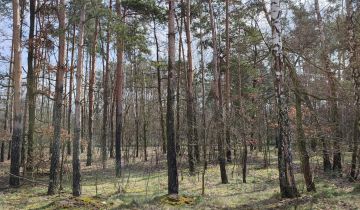 Działka budowlana Piotrków Trybunalski Szczekanica, ul. mjr. Jana Piwnika