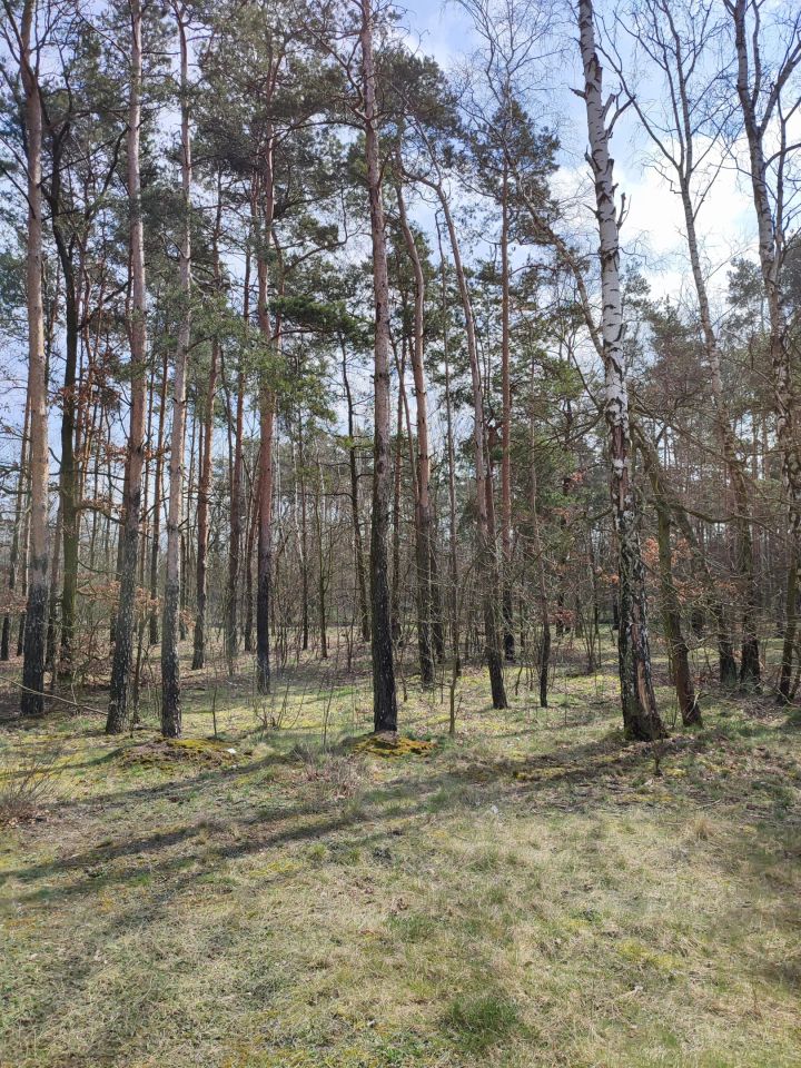 Działka budowlana Piotrków Trybunalski Szczekanica, ul. mjr. Jana Piwnika