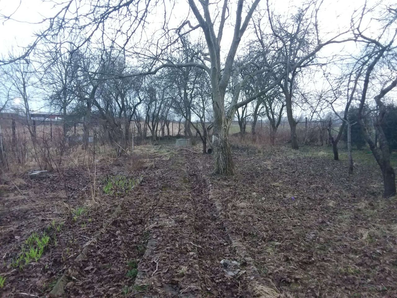 budynek wielorodzinny Ruda Śląska Ruda, ul. Szczęść Boże. Zdjęcie 6