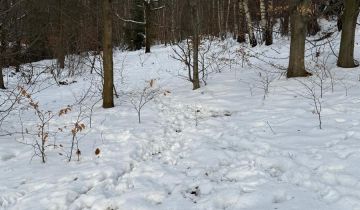 Działka rekreacyjna Wilkowice Górne Wilkowice, ul. Narciarska