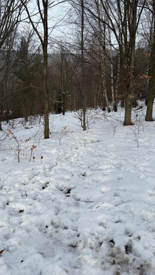 Działka rekreacyjna Wilkowice Górne Wilkowice, ul. Narciarska. Zdjęcie 2