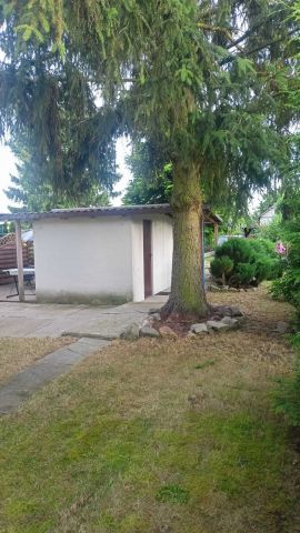 Działka rod Świecie. Zdjęcie 1