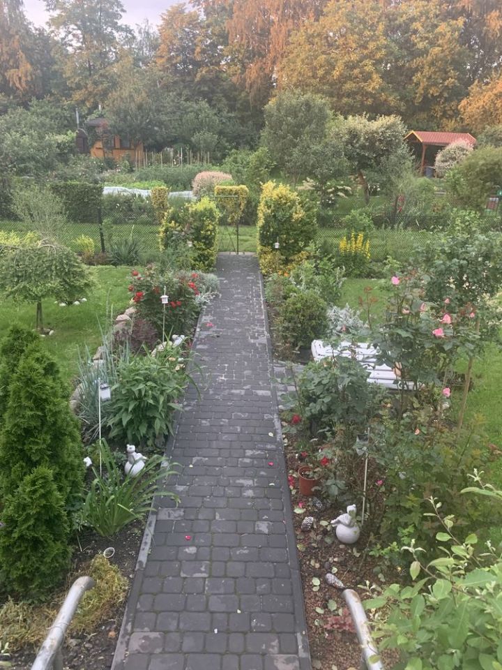 Działka rod Gliwice Sośnica. Zdjęcie 5