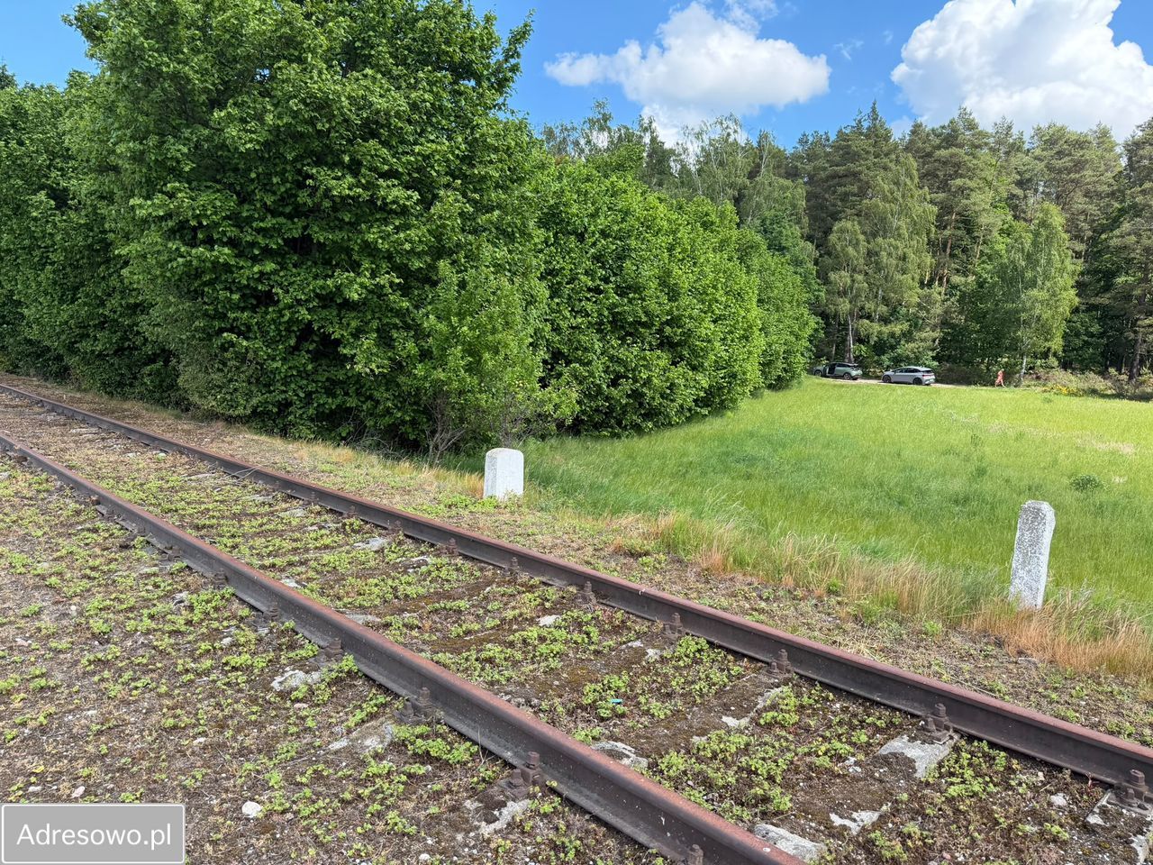 Działka inwestycyjna Dębogórze, ul. Lisia. Zdjęcie 14