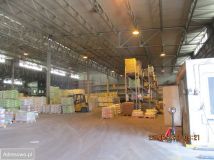 Hala/magazyn Dubowo Drugie. Zdjęcie 3