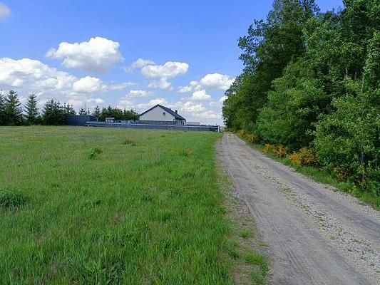 Działka budowlana Piotrków Trybunalski, ul. Tomaszowska. Zdjęcie 6