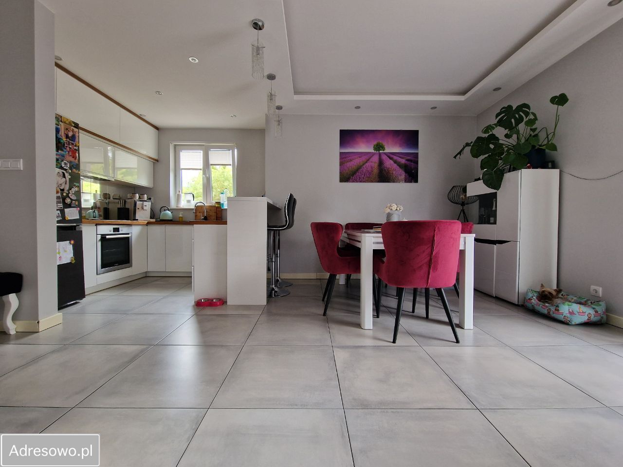 dom wolnostojący, 5 pokoi Ciachcin. Zdjęcie 13