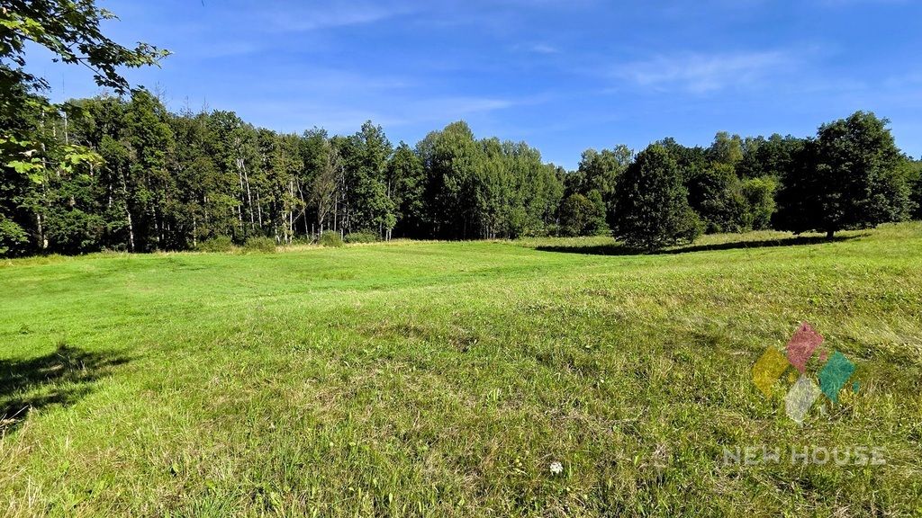 Działka Rozwady. Zdjęcie 2