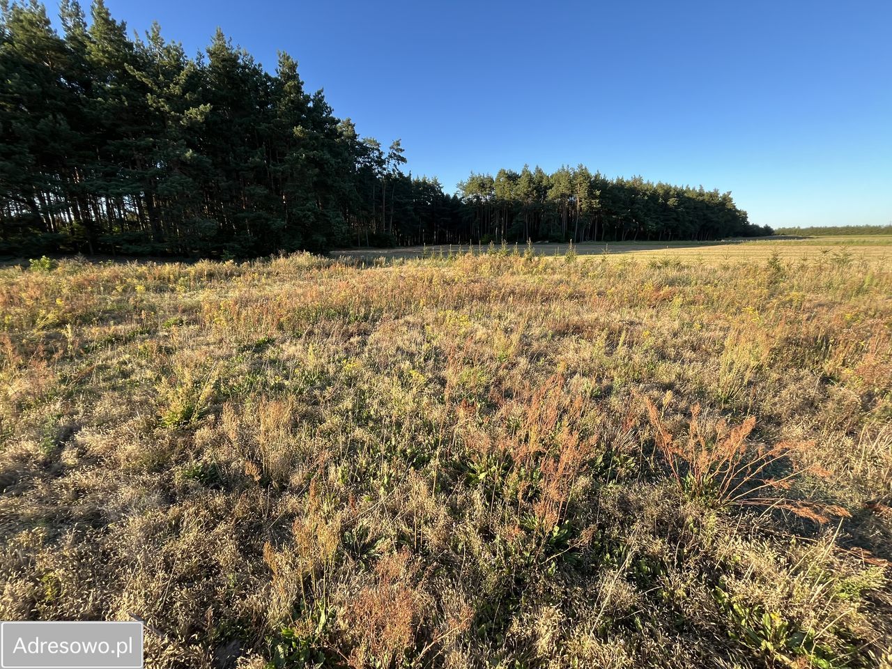 Działka rolno-budowlana Cekcyn Cekcynek. Zdjęcie 11