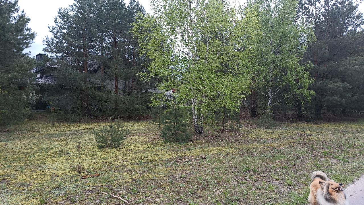 Działka budowlana Warszawa Falenica, ul. Krokusów. Zdjęcie 4