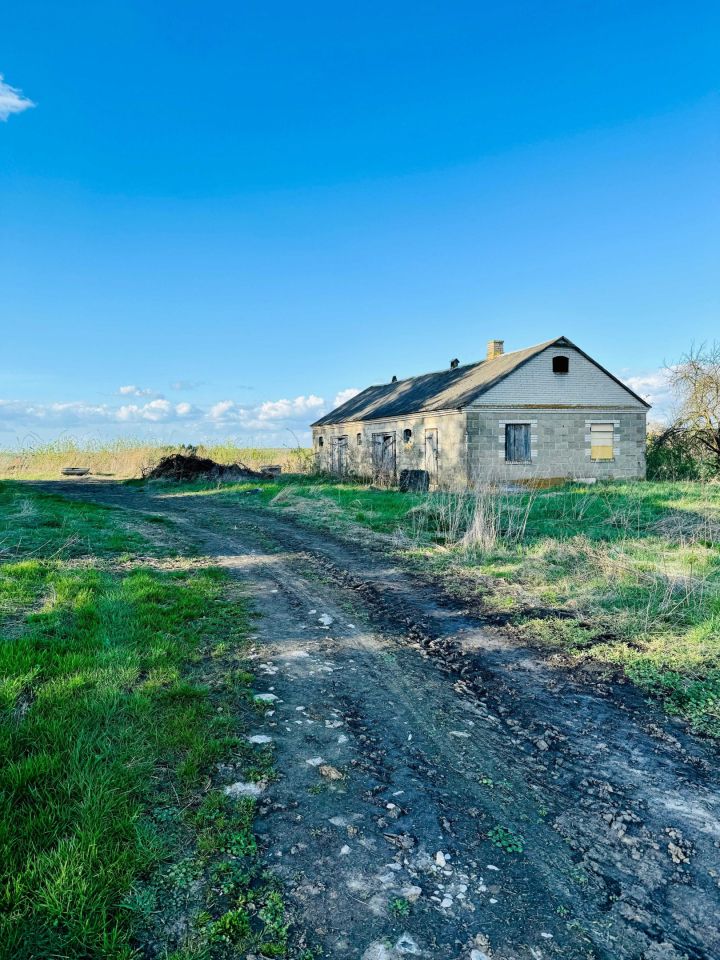 dom wolnostojący Alojzów. Zdjęcie 4