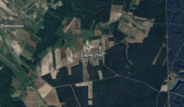 Działka leśna Zapieczne