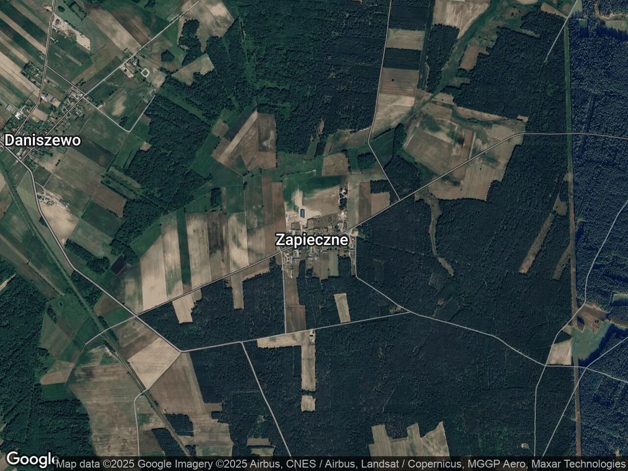 Działka leśna Zapieczne