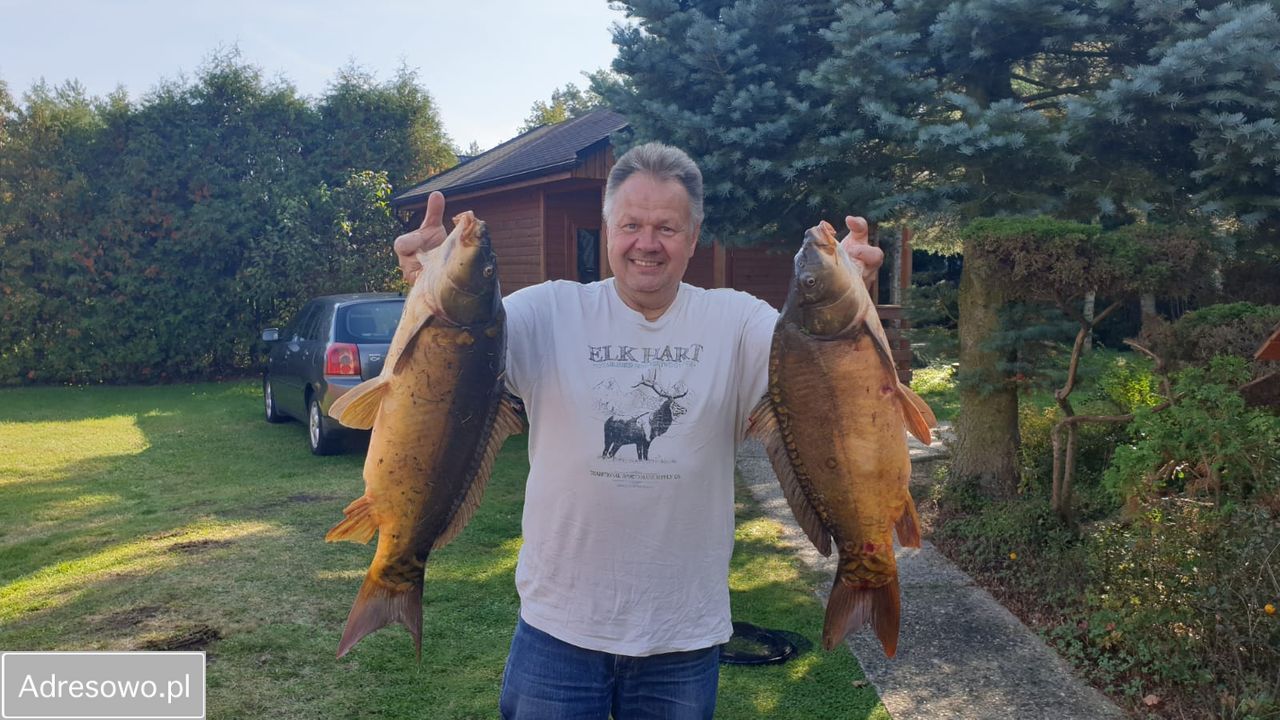 Działka siedliskowa Kup, ul. Polna. Zdjęcie 8