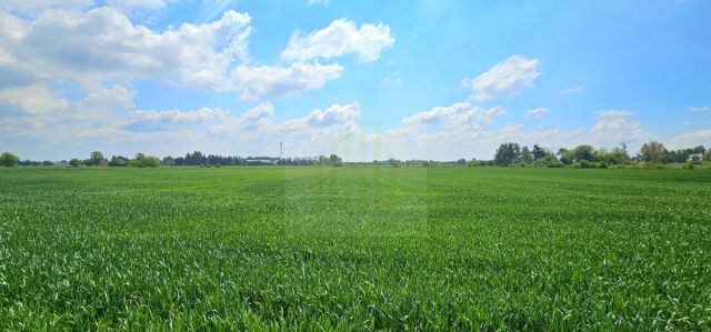 Działka budowlana Bieniewice, ul. Słowicza. Zdjęcie 11
