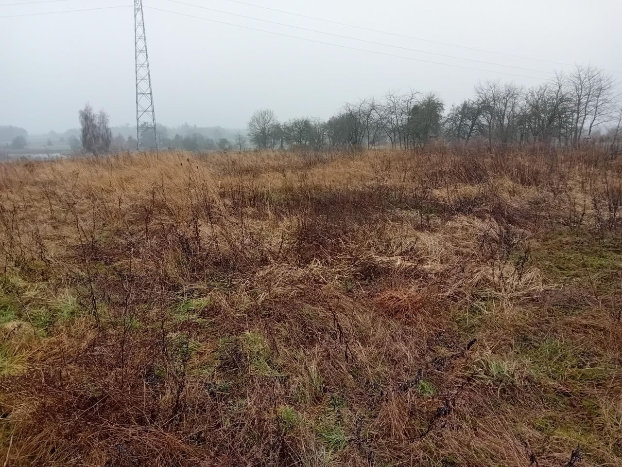 Działka budowlana Binowo. Zdjęcie 18