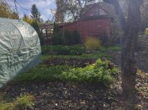 Działka rod Chełm. Zdjęcie 3