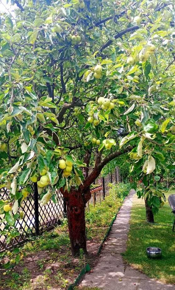 Działka rod Łagiewniki Nowe. Zdjęcie 7