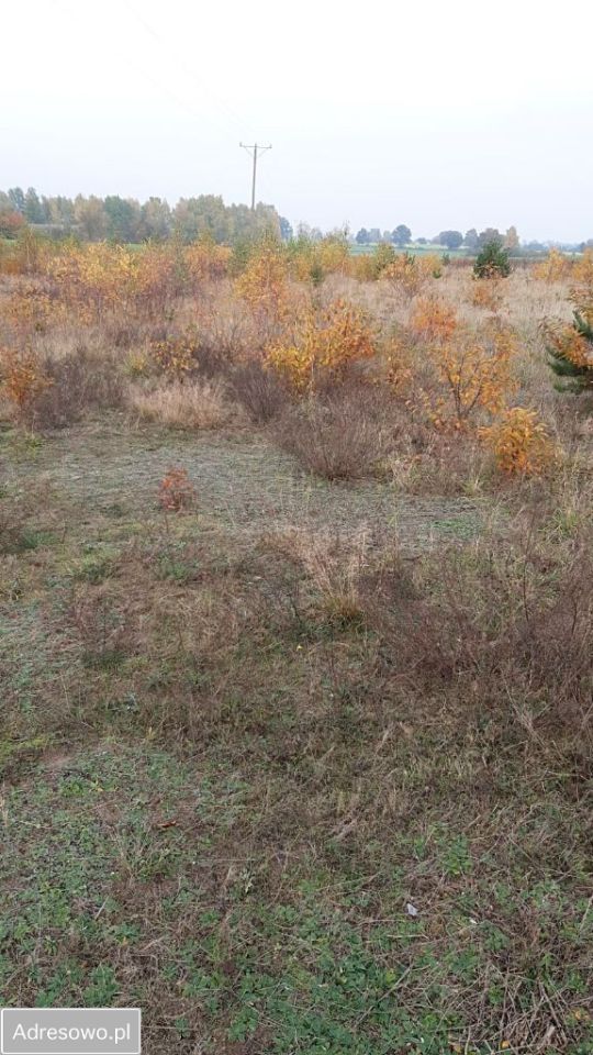 Działka rolno-budowlana Jania Góra. Zdjęcie 2