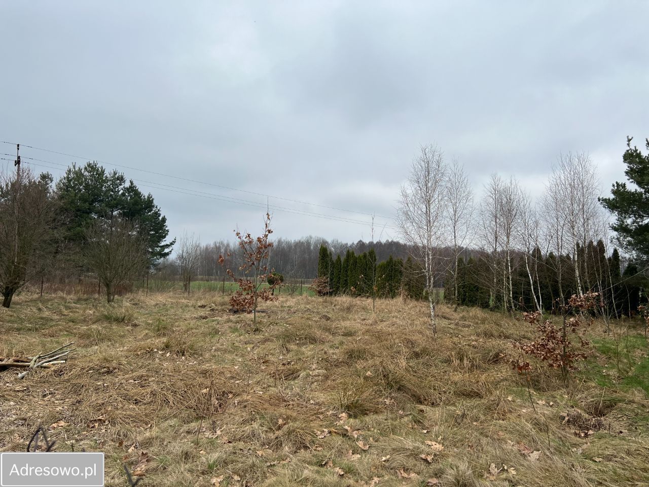 Działka rekreacyjna Nowy Orzechów. Zdjęcie 3