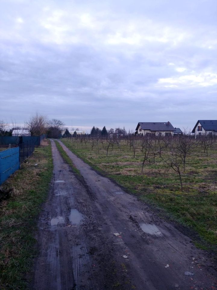 Działka budowlana Tryszczyn, ul. Sadownicza. Zdjęcie 5