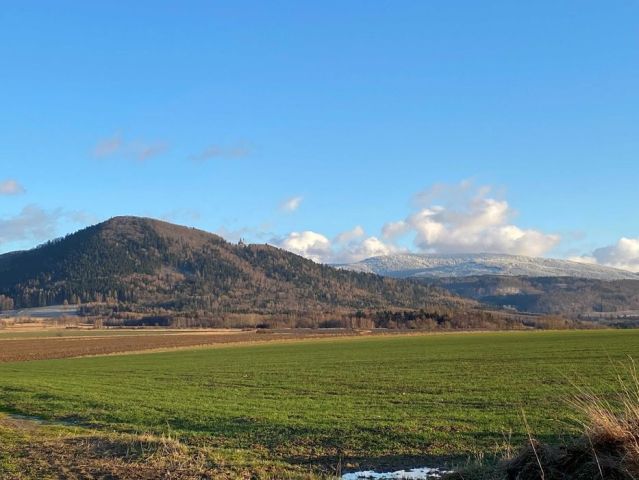 Działka budowlana Jaworek. Zdjęcie 1
