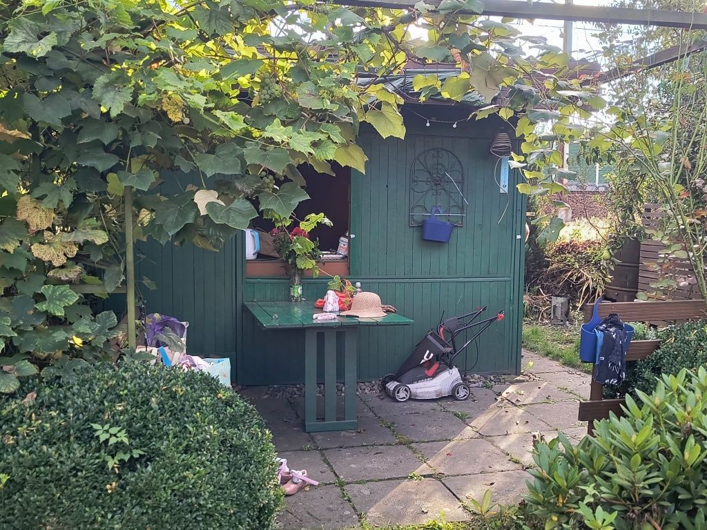 Działka rod Brzeg. Zdjęcie 7