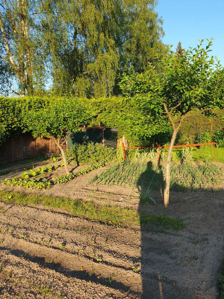 Działka rod Braniewo. Zdjęcie 4