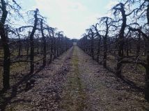 Działka budowlana Stok Lacki, ul. Szafirowa. Zdjęcie 3