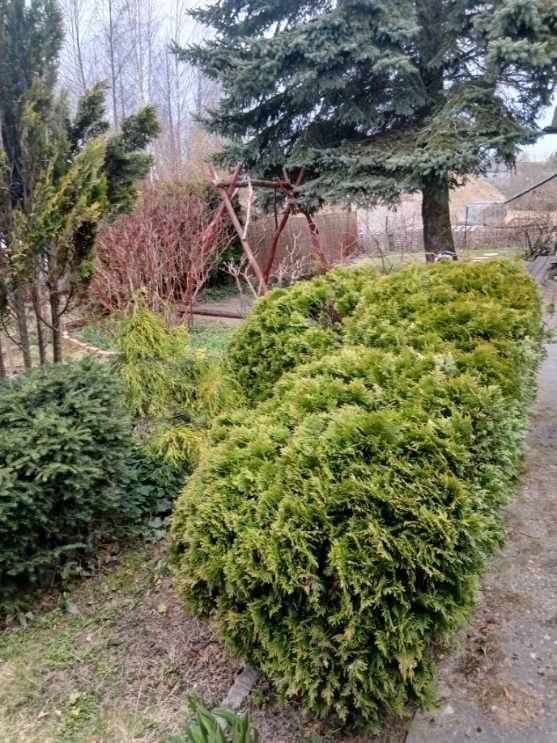 Działka rod Wadąg. Zdjęcie 5