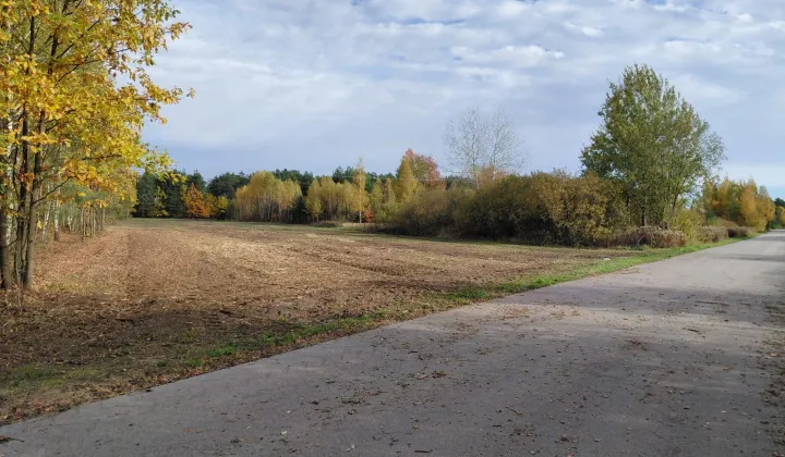 Działka inwestycyjna Trzcinka