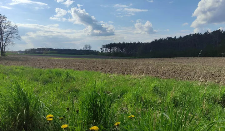 Działka budowlana Huta Bardzyńska