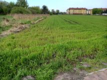 Działka budowlana Rogoźno, ul. Nowa