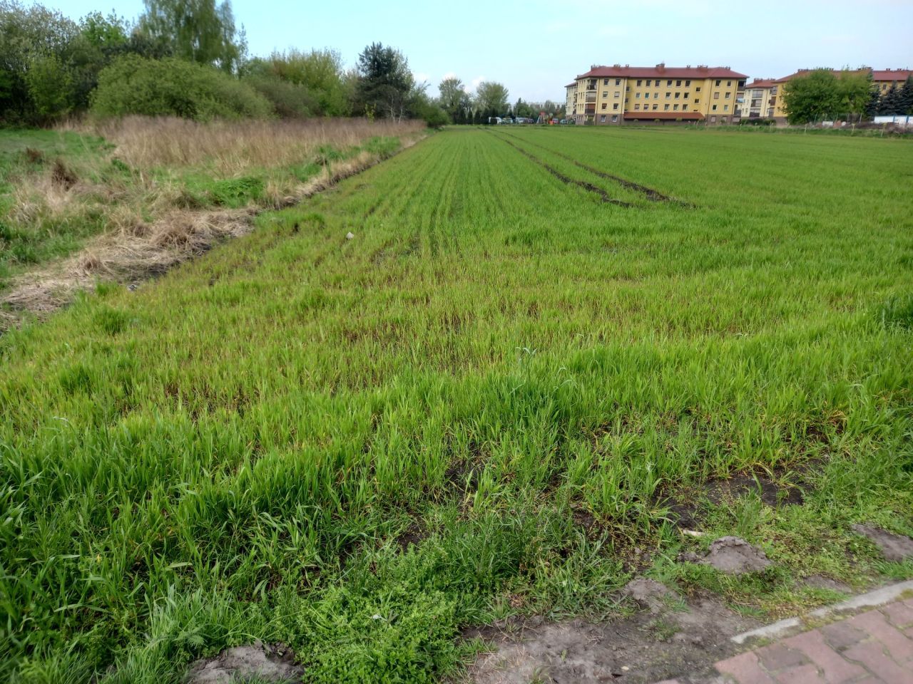 Działka budowlana Rogoźno, ul. Nowa