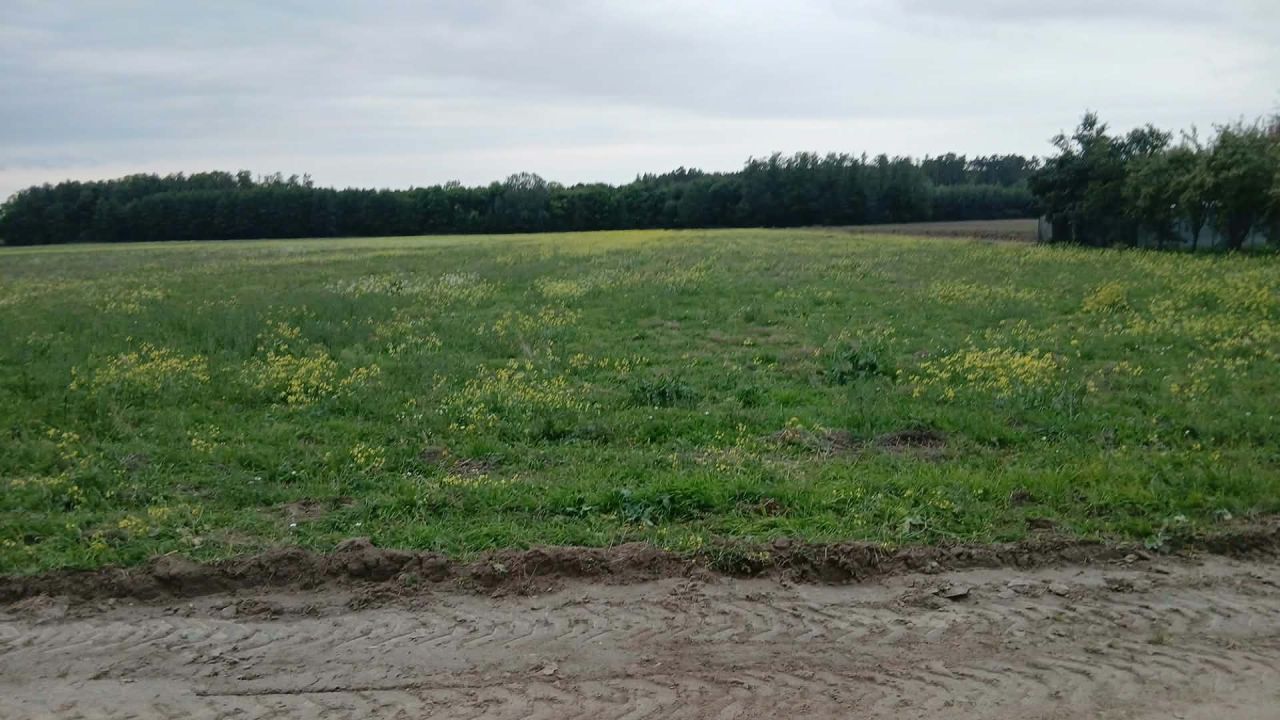 Działka rolna Strzembowo. Zdjęcie 3