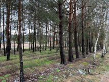 Działka rekreacyjna Osłonin, ul. Krańcowa. Zdjęcie 4