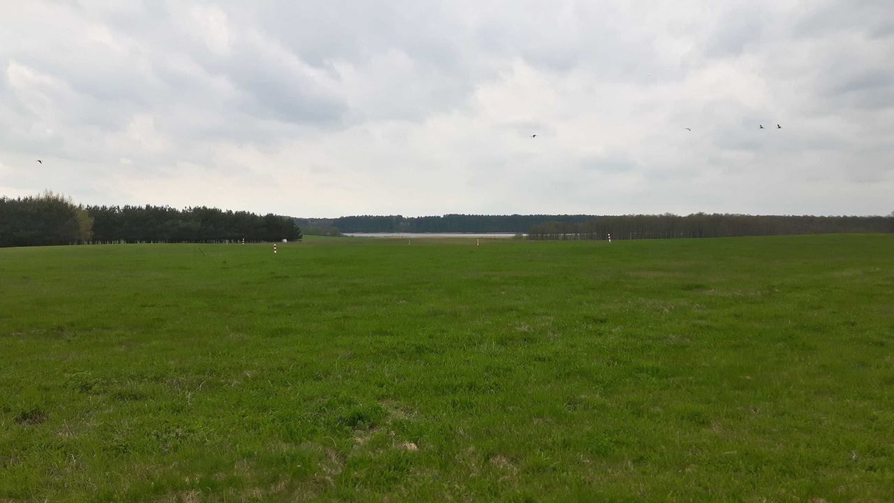 Działka rolna Goleń. Zdjęcie 6