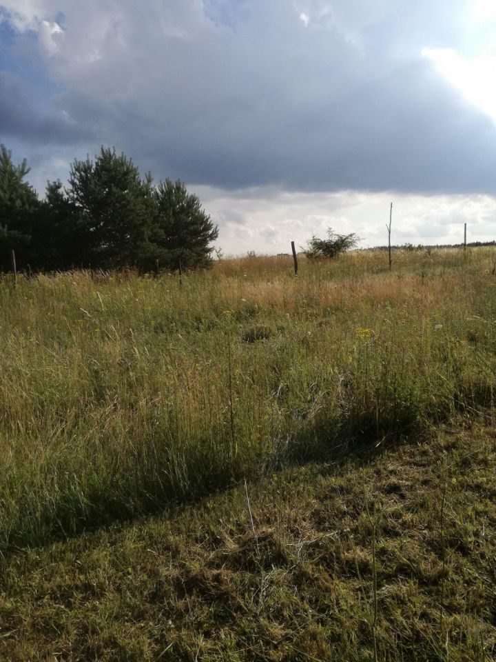 Działka rolna Knieja. Zdjęcie 8