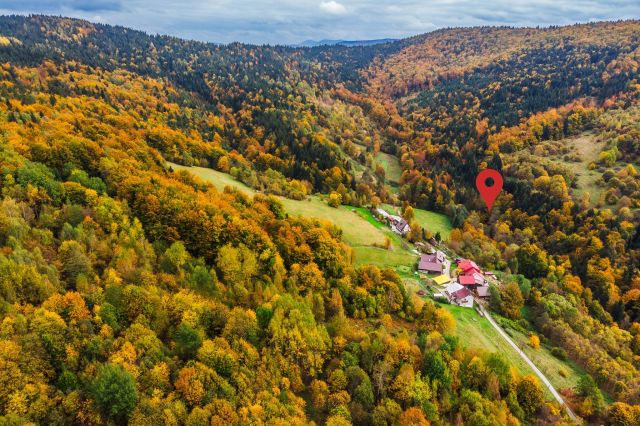 Działka rolna Żarnówka U Polańskich. Zdjęcie 3