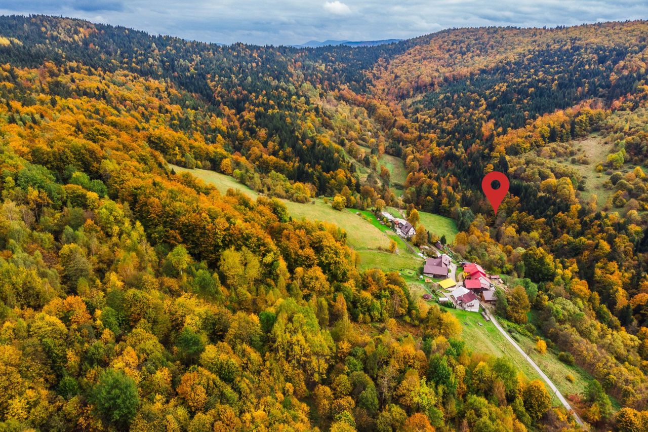 Działka rolna Żarnówka U Polańskich. Zdjęcie 3